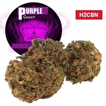 Purple Queen® H2CBN