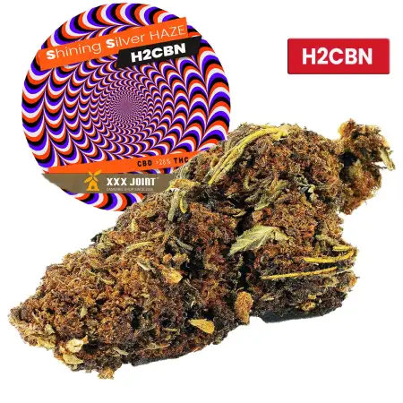 Shining Silver Haze® H2CBN