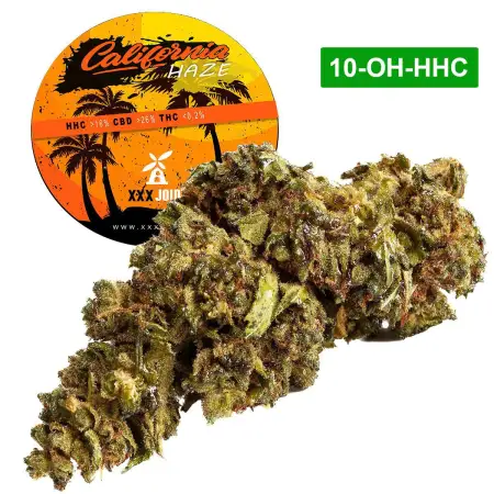 California Haze® 10-OH-HHC