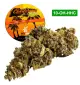 California Haze® 10-OH-HHC