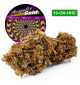 Acapulco Gold® 10-OH-HHC