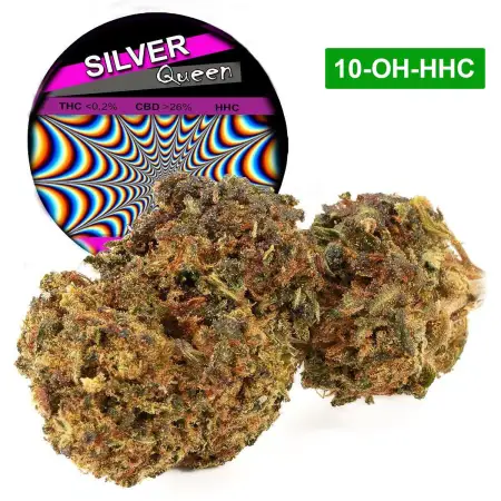 Silver Queen® 10-OH-HHC