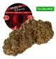 Tropical Cherry® 10-OH-HHC