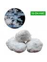 IceRock® 10-OH-HHC 85%