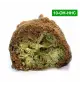 Moonrock® 10-OH-HHC 75%