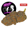Lady XXX® H2CBN