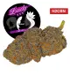 Lady XXX® H2CBN