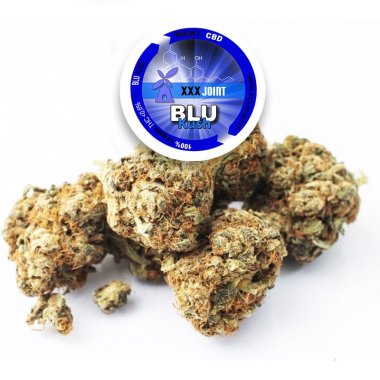 Blue Kush® CBD 22%