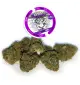 Royal Mystic CBD 27%