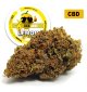 Lemon Haze® CBD 17%