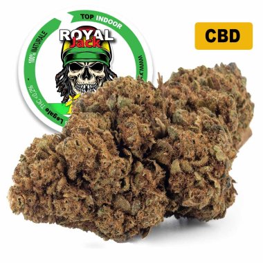 Royal Jack® CBD 28%