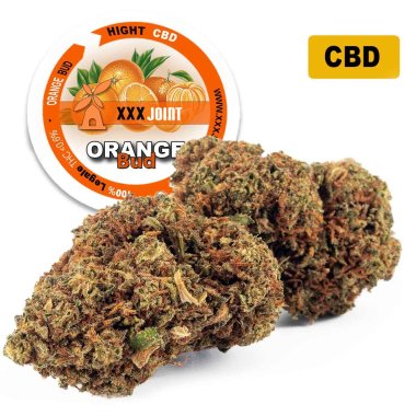 Orange Bud® CBD 24%