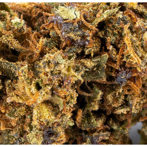 Acapulco Gold® 10-OH-HHC 2