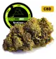 Northern Light® CBD 18%