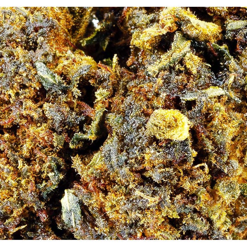 Harley Quinn® 10-OH-HHC