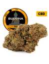 Buddha Kush® CBD 20%