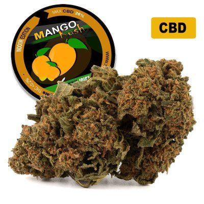 Mango Kush® CBD 26%