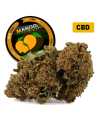 Mango Kush® CBD 26%