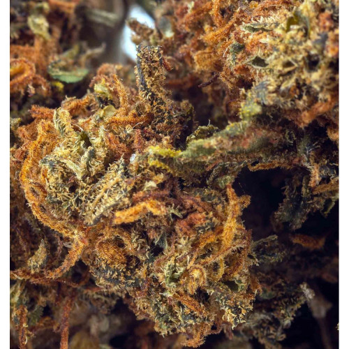 Sfuso Cannabis Canapa light Tipo 2 2