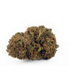 Sfuso Cannabis Canapa light Tipo 9