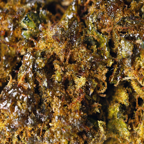 Tropical Cherry® 10-OH-HHC 2