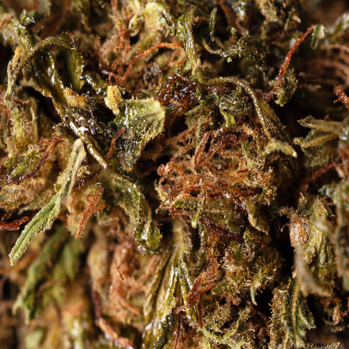 Bubblegum® 10-OH-HHC 2