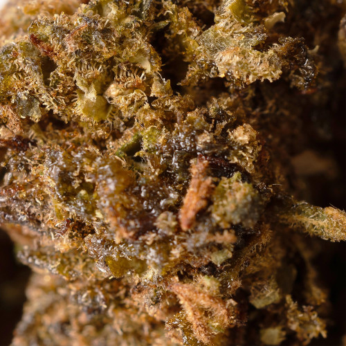 Sour Candy® 10-OH-HHC 2