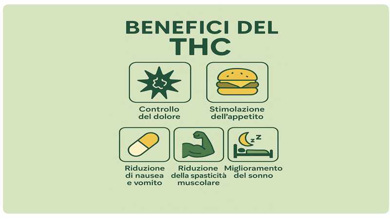i benefici del THC
