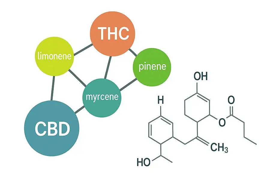 profilo terpeni estratti marijuana