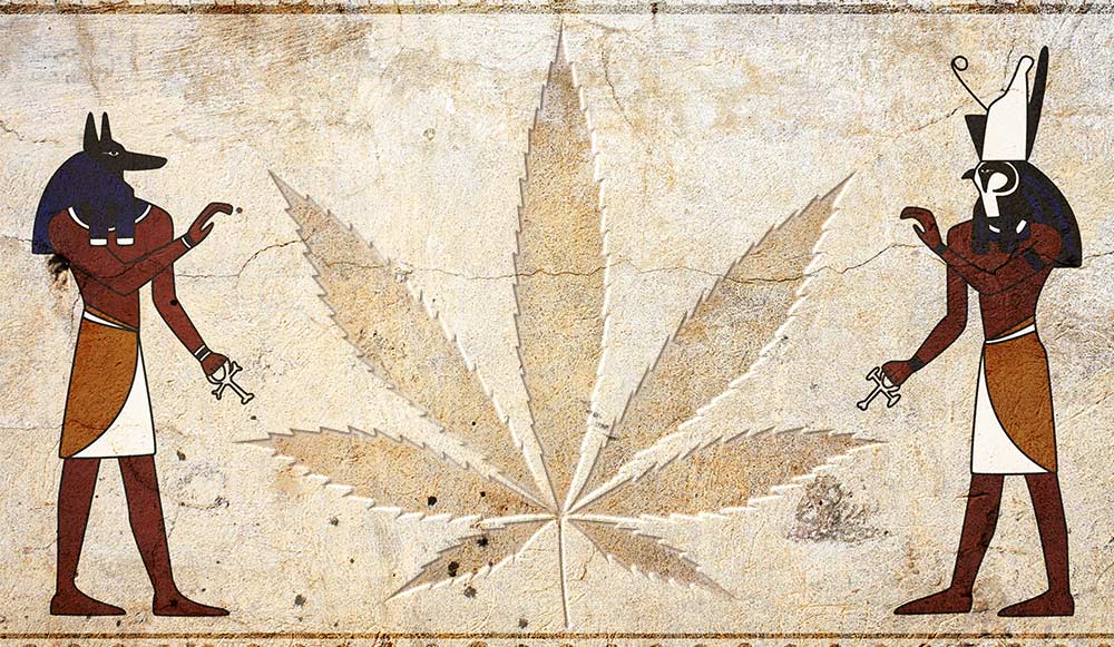 cannabis egitto