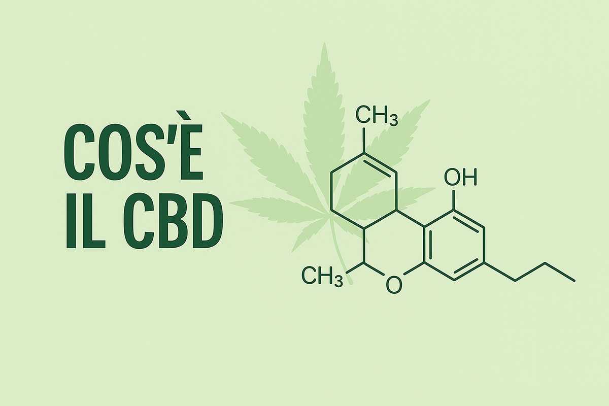 cos'è il cbd