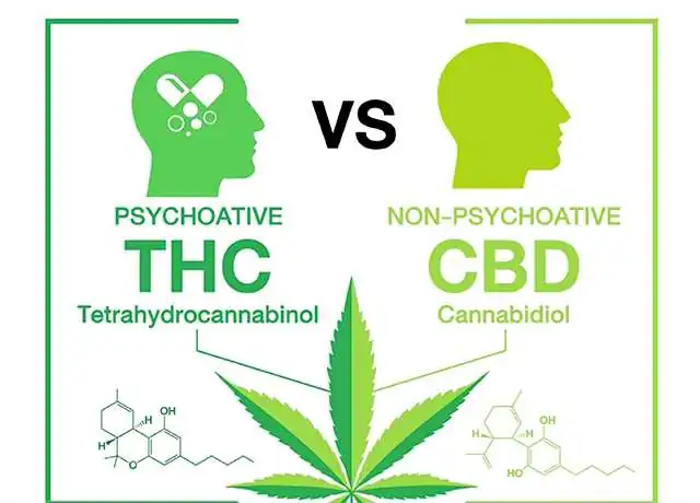 Differenza THC e CBD