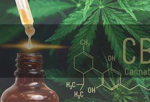estratti cannabis