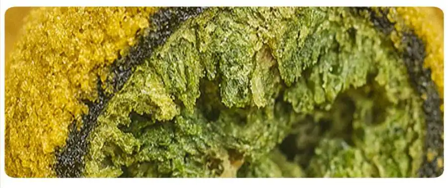 moonrock