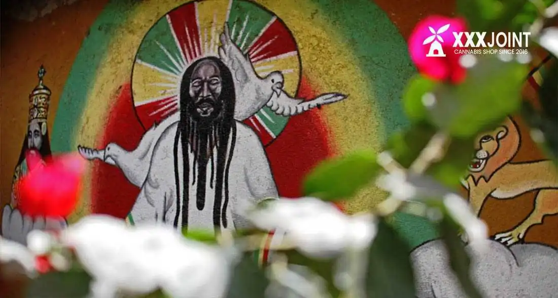 gesu-rasta