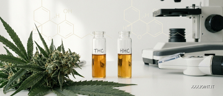 Campioni di THC e HHC accanto a cannabis in un contesto di analisi della struttura chimica.