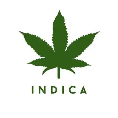 Cannabis Indica
