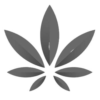 infiorescenze di cannabis light