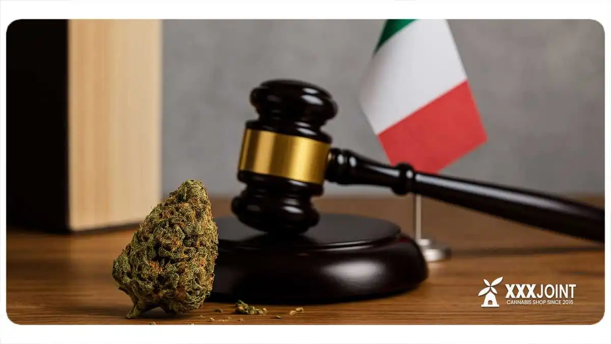 leggi sulla cannabis e marijuana in italia