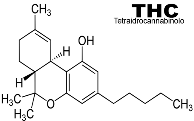 struttura molecolare THC