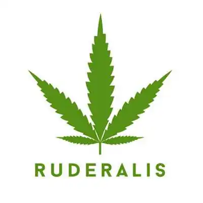 Cannabis Ruderalis