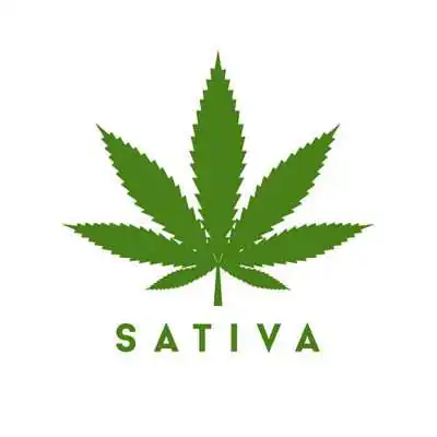 Cannabis Sativa