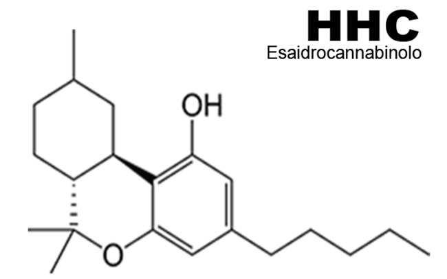 struttura molecolare HHC