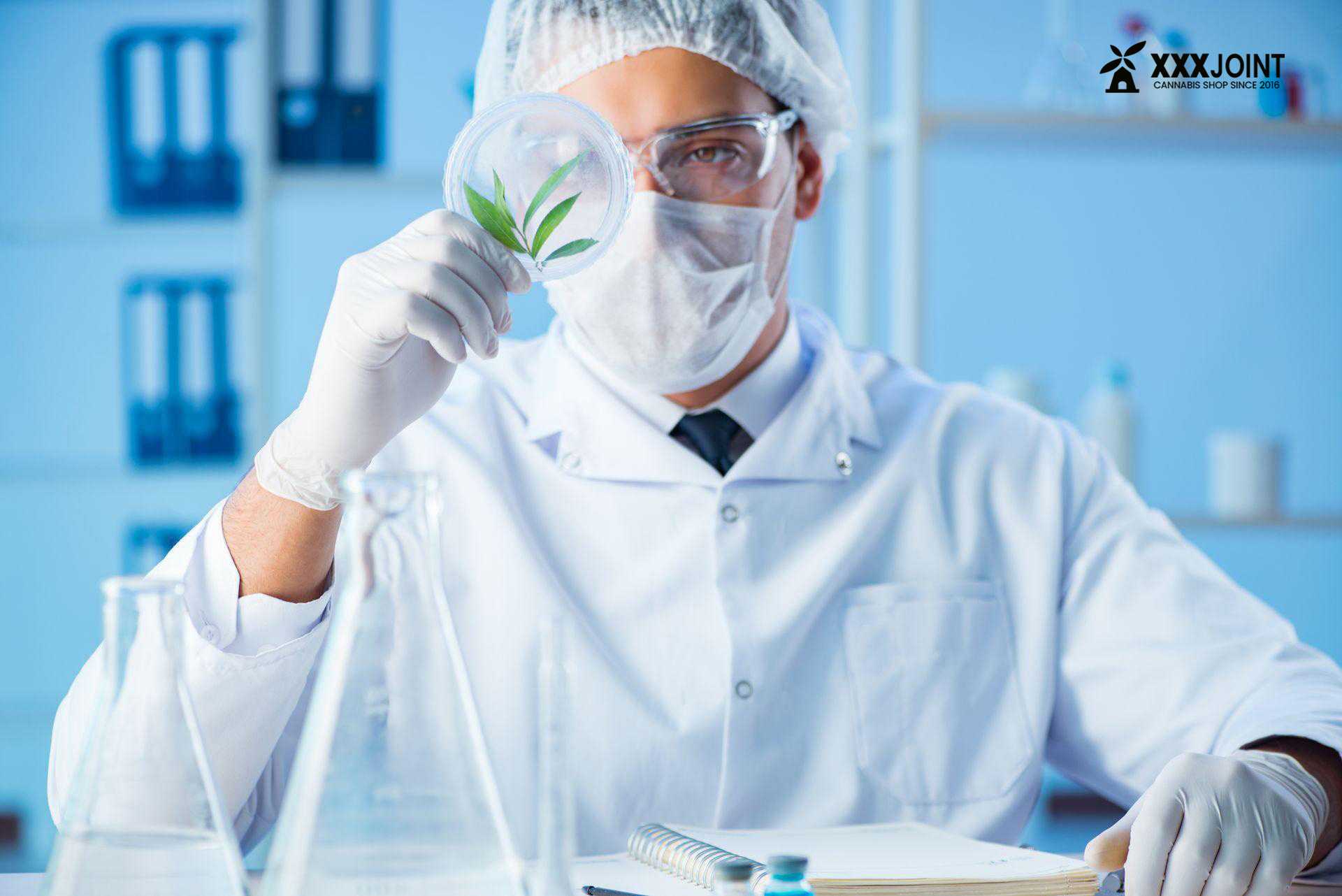 il THC in medicina