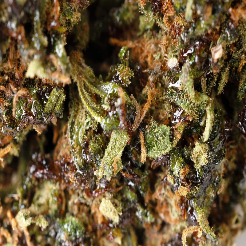 Juicy juice® 10-OH-HHC