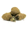 Moonrock® H2CBN 75%