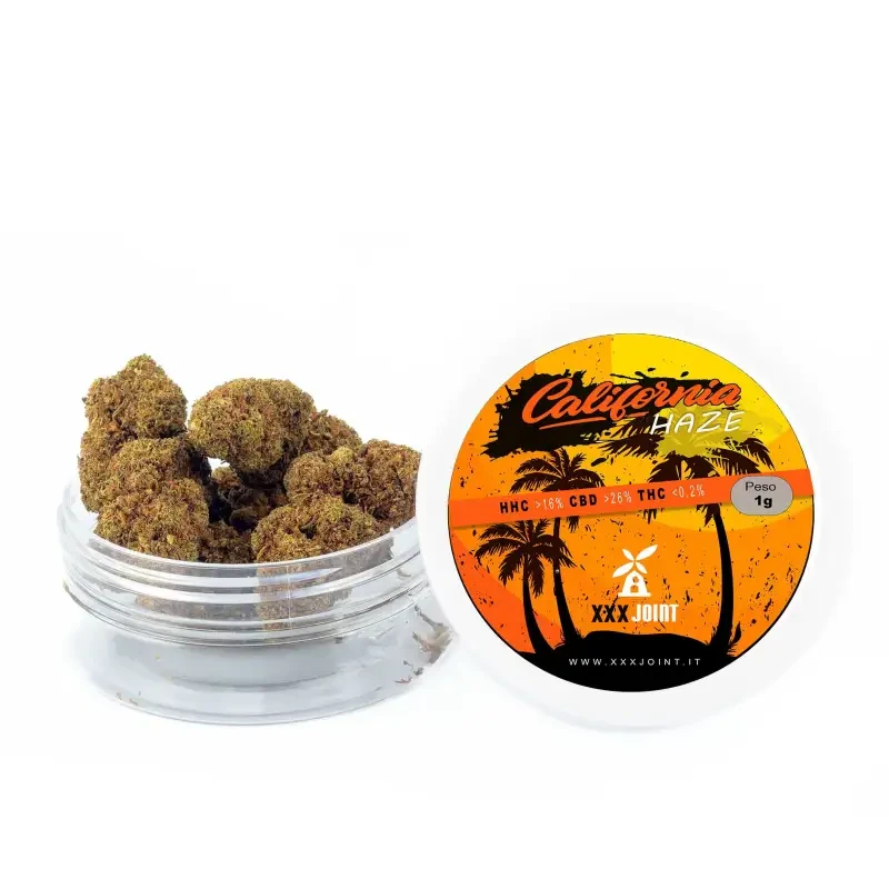 California Haze® 10-OH-HHC