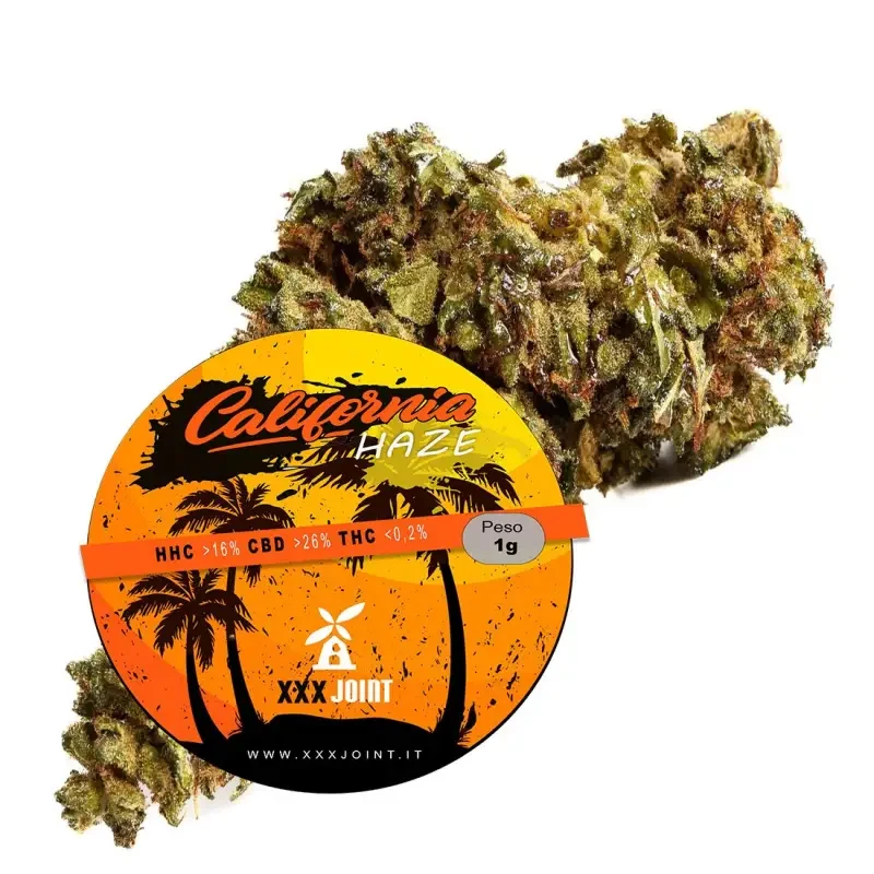 California Haze® 10-OH-HHC
