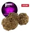 Purple Queen® H2CBN