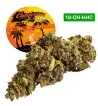 California Haze® 10-OH-HHC California Haze® 10-OH-HHC